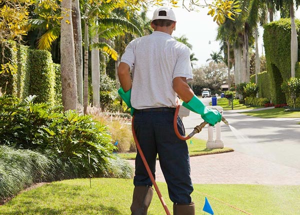 About Starbuck MN Pest Control